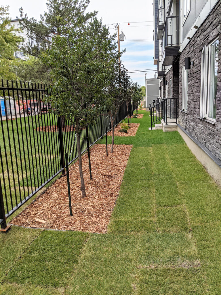Commercail-landscaping-3