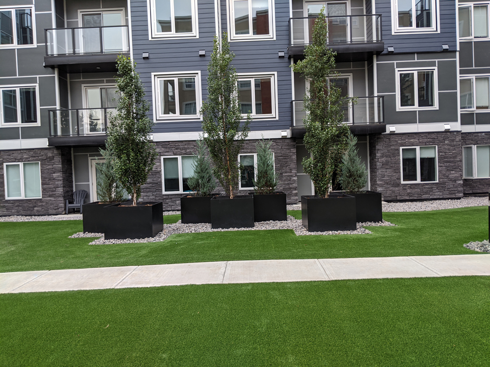 Commercail-landscaping5