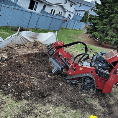 Stump Grinding 1 Stump Grinding
