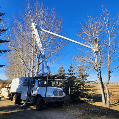 Tree Pruning 2 Tree Pruning